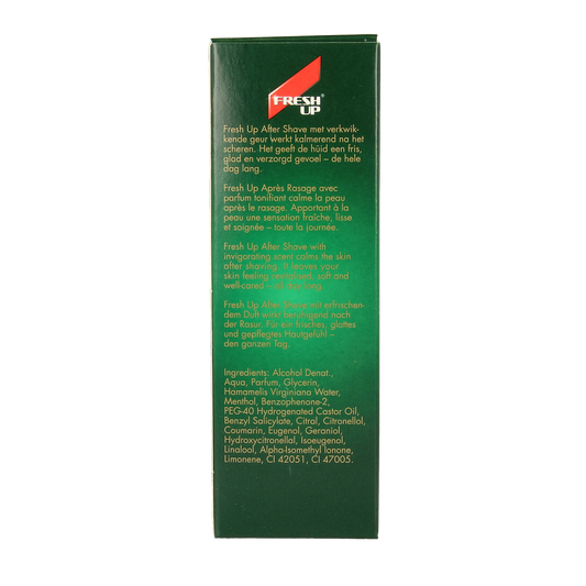 Fresh Up Original roller 100.00 Milliliter