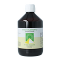 Vita Chlorofyl 500.00 Milliliter