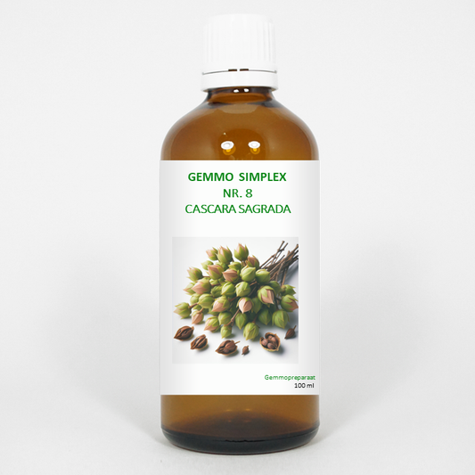 Balancepharma Gemmo simplex 8 cascara sagrada 100 Milliliter