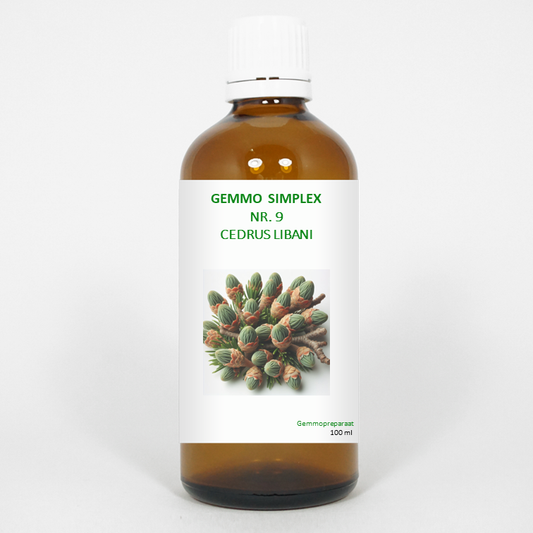 Balancepharma Gemmo simplex 9 cedrus libani 100.00 Milliliter
