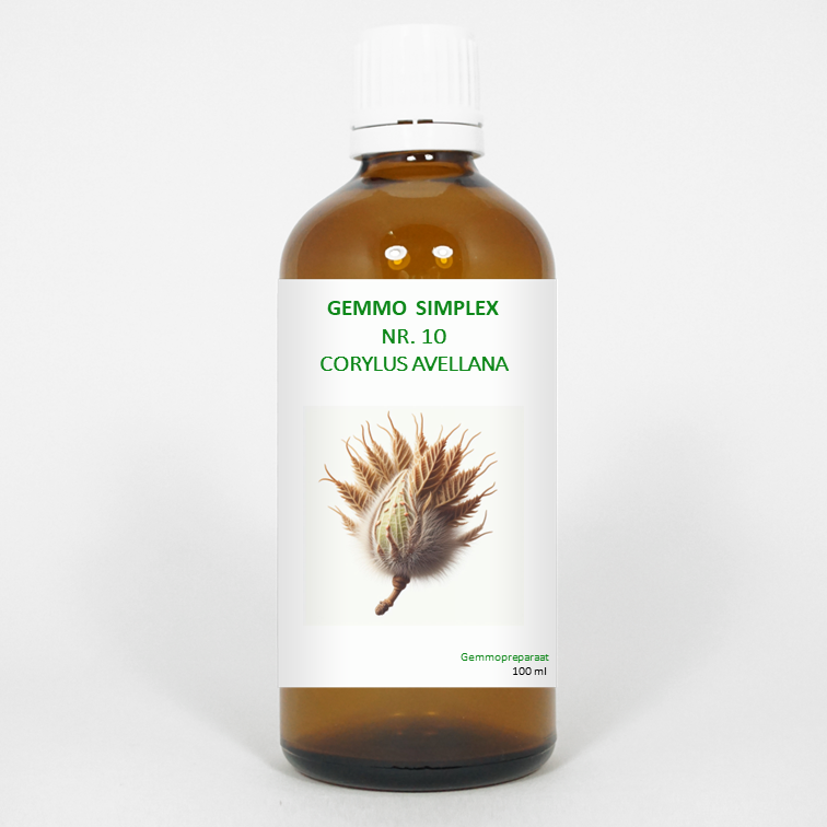 Balancepharma Gemmo simplex 10 corylus avellana 100 Milliliter