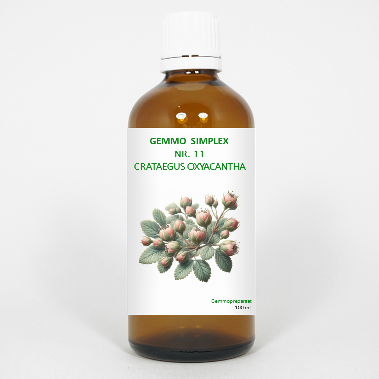 Balancepharma Gemmo simplex 11 crataegus oxyacantha 100 Milliliter