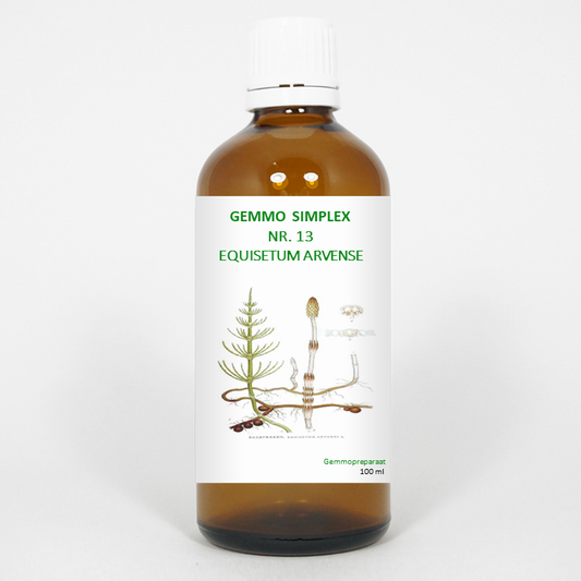 Balancepharma Gemmo simplex 13 equisetum arvense 100 Milliliter
