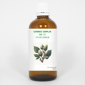 Balancepharma Gemmo simplex 15 ficus carica 100.00 Milliliter
