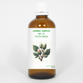 Balancepharma Gemmo simplex 15 ficus carica 100 Milliliter
