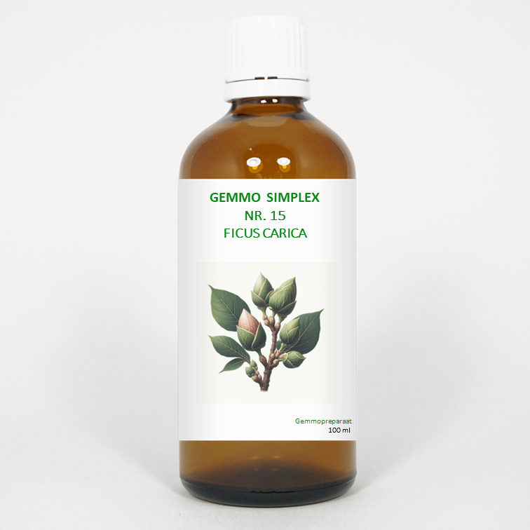 Balancepharma Gemmo simplex 15 ficus carica 100 Milliliter
