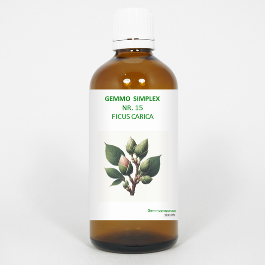 Balancepharma Gemmo simplex 15 ficus carica 100 Milliliter