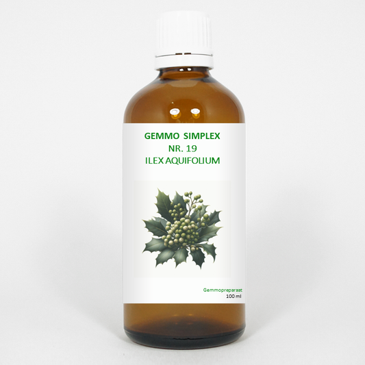 Balancepharma Gemmo simplex 19 ilex aquifolium 100 Milliliter