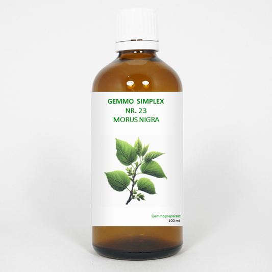 Balancepharma Gemmo simplex 23 morus nigra 100 Milliliter