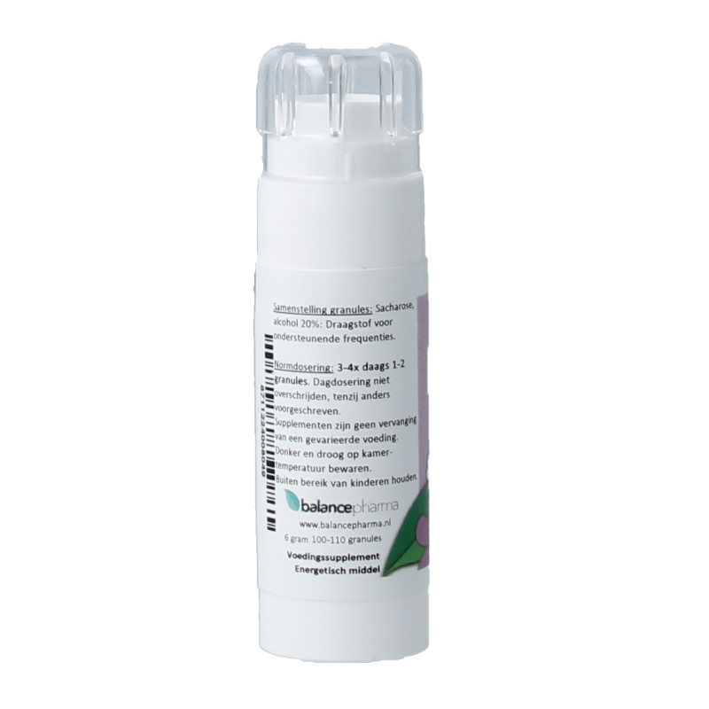 Balancepharma Koolhydraten allergoplex 6 Gram