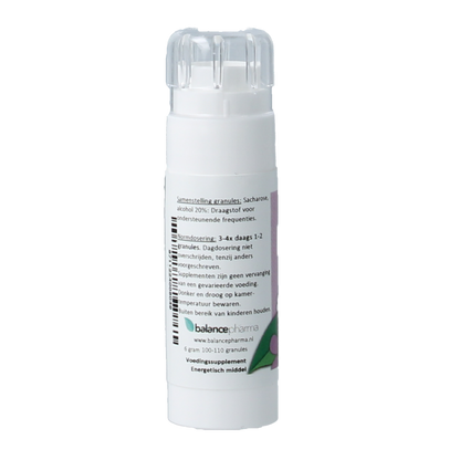 Balancepharma Koolhydraten allergoplex 6.00 Gram