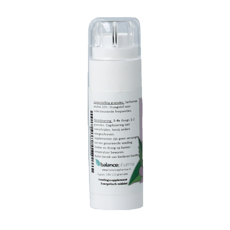 Balancepharma Nachtschadigen allergoplex 6 Gram