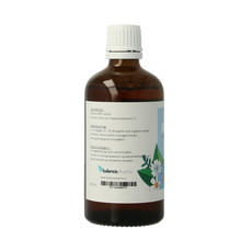 Balancepharma Aesculus hippocastanum L. tincturen 100 Milliliter