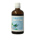 Balancepharma Aloe socotrina tincturen 100.00 Milliliter