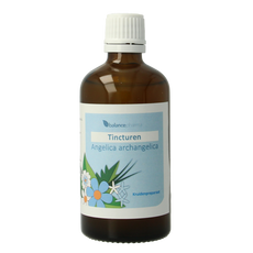 Balancepharma Angelica archangelica tinctuur 100.00 Milliliter