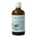 Balancepharma Angelica archangelica tinctuur 100.00 Milliliter