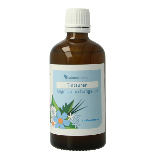 Balancepharma Angelica archangelica tinctuur 100.00 Milliliter