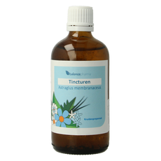 Balancepharma Astragalus membranaceus tincturen 100.00 Milliliter