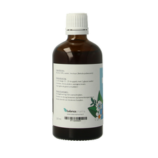 Balancepharma Betula pubescens tincturen 100.00 Milliliter