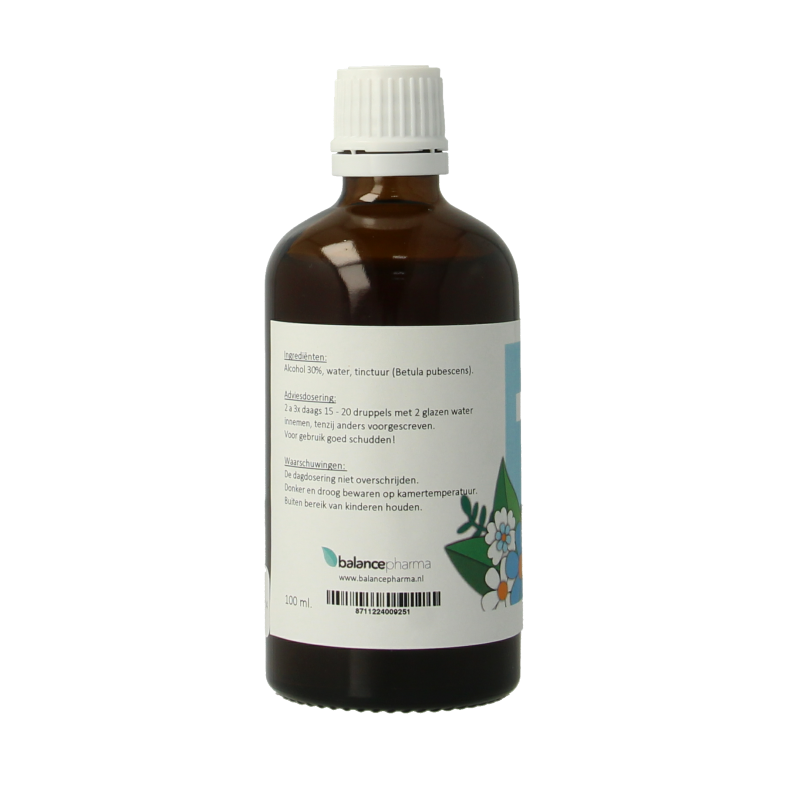 Balancepharma Betula pubescens tincturen 100 Milliliter