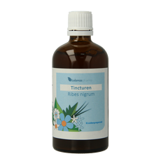 Balancepharma Ribes nigrum tincturen 100.00 Milliliter