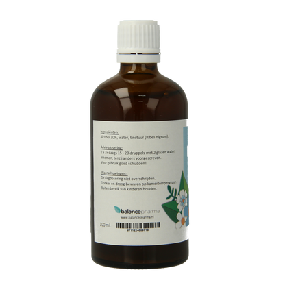 Balancepharma Ribes nigrum tincturen 100.00 Milliliter