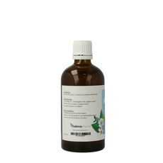 Balancepharma Scutellaria lateriflora tincturen 100.00 Milliliter