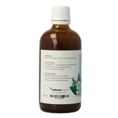 Balancepharma Thuja occidentalis tincturen 100 Milliliter