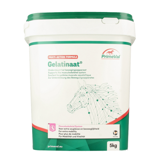Primeval Gelatinaat paard 5 Kilogram