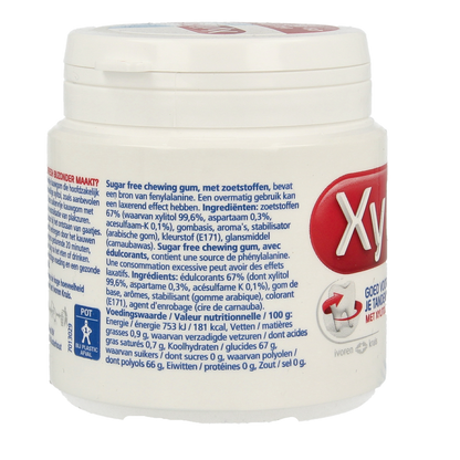 Xylifresh Peppermint 93.00 Gram