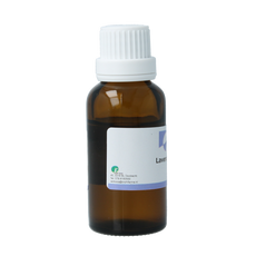 Orphi Lavendelolie 25.00 Milliliter