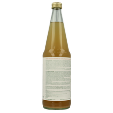 Luna E Terra Appelsap met gember natuurtroebel demeter bio 700 Milliliter