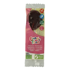 Candy Tree Frambozen lollie bio 1 Stuks