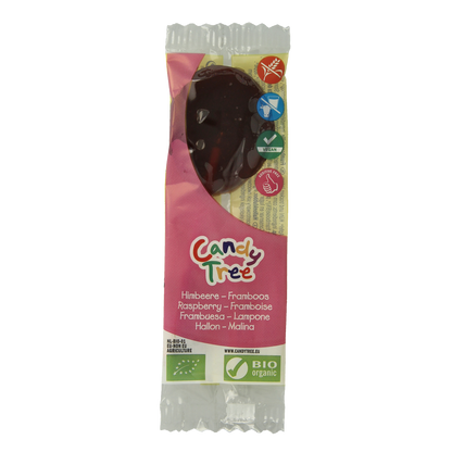 Candy Tree Frambozen lollie bio 1.00 Stuks