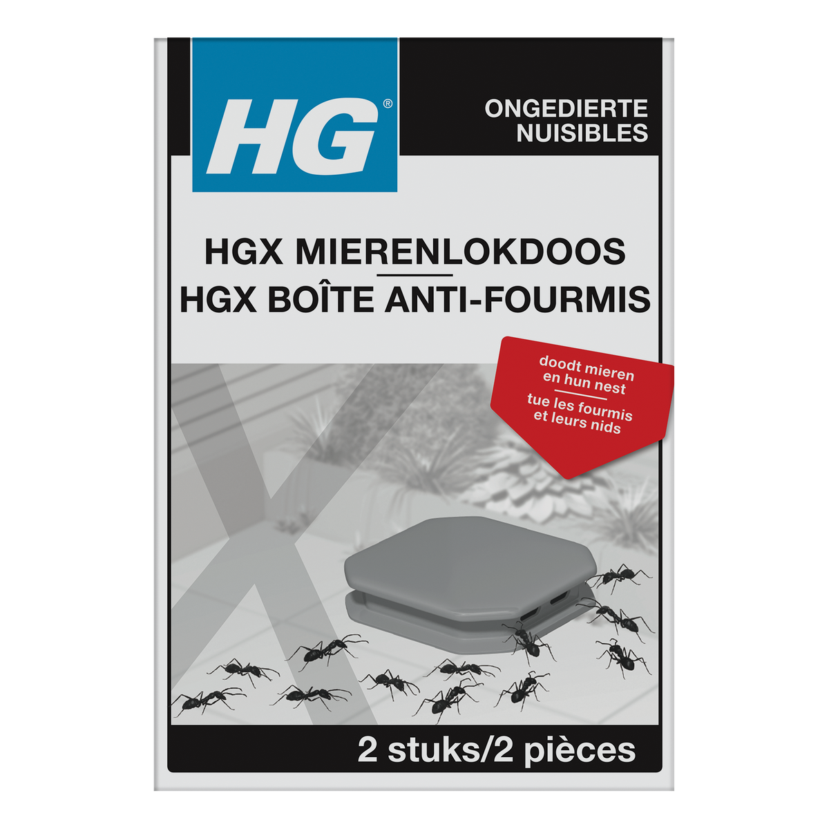 HG X mierenlokdoos 2.00 Stuks