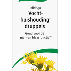 A Vogel Solidago  100.00 Milliliter