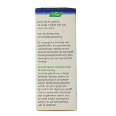 A Vogel Solidago 60 Tabletten