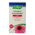 A Vogel Echinaforce kauwtablet sterk + vitamine C 60.00 Kauwtabletten