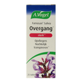 A Vogel Famosan salvia overgang sterk 25 Tabletten