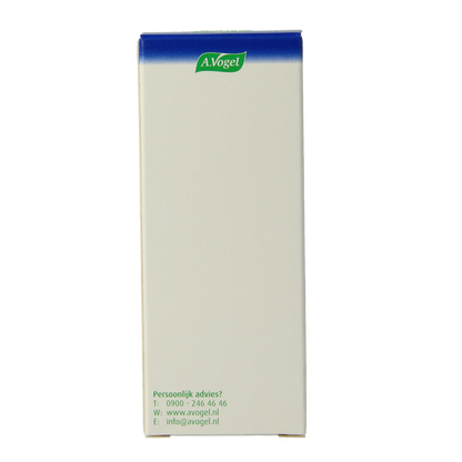 A Vogel Pollinosan 30.00 Tabletten