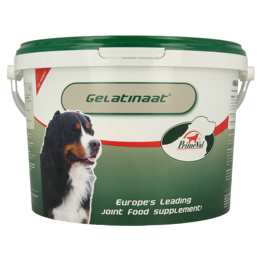 Primeval Gelatinaat hond 2 Kilogram
