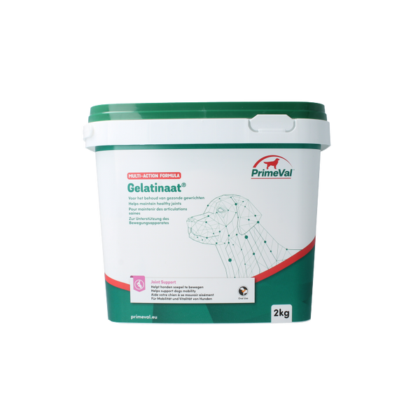 Primeval Gelatinaat hond 2 Kilogram