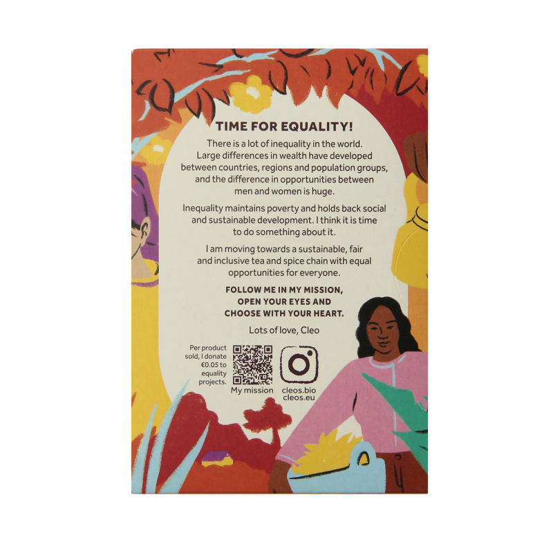 Cleo's Spicy chai bio 18 Zakjes