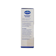 Wapiti Antimetil gember 30.00 Tabletten