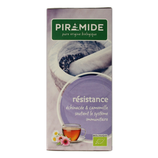 Piramide Weerstand thee eko bio 20.00 Zakjes
