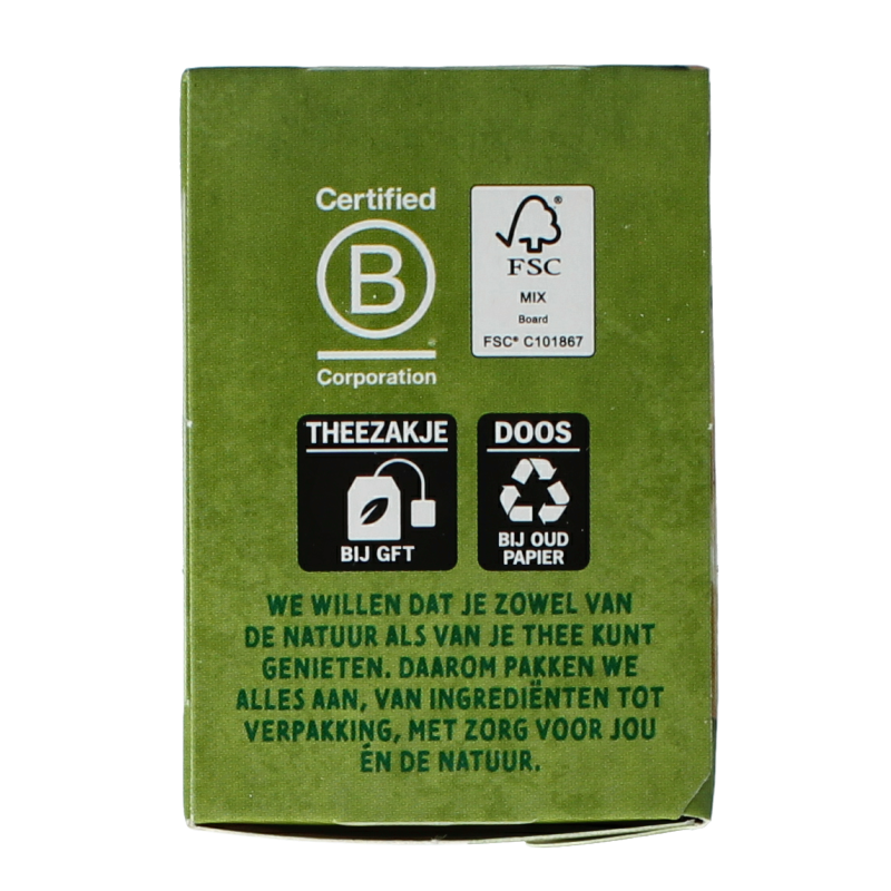 Zonnatura Groene thee gember bio 20 Zakjes