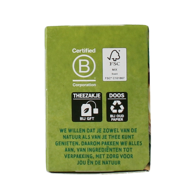Zonnatura Green tea ginseng bio 20 Zakjes