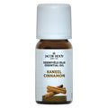 Jacob Hooy Kaneel olie 10 Milliliter