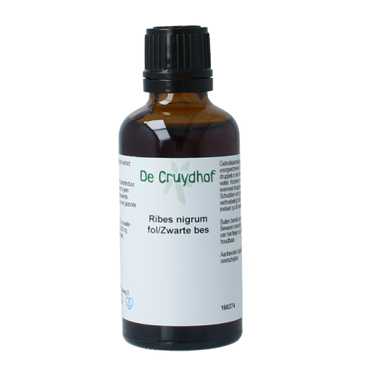 Cruydhof Ribus nigrum & zwarte bes 50 Milliliter