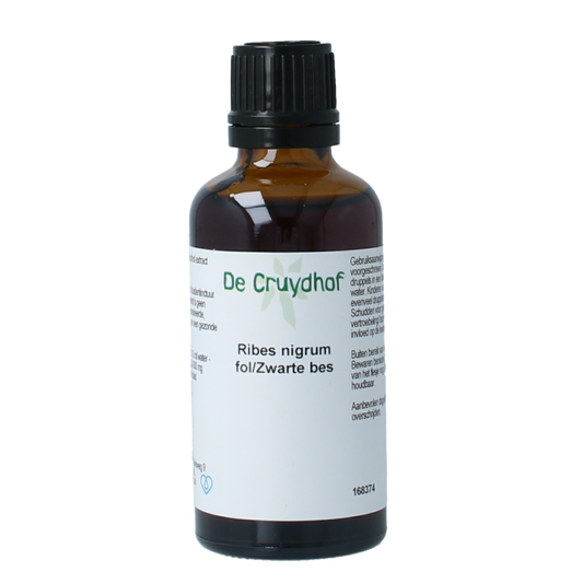 Cruydhof Ribus nigrum & zwarte bes 50.00 Milliliter